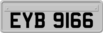 EYB9166