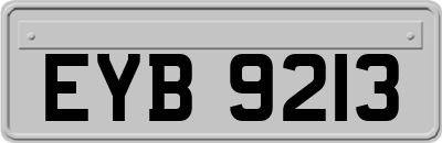 EYB9213