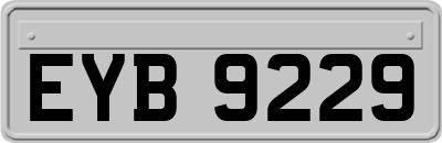 EYB9229