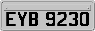 EYB9230