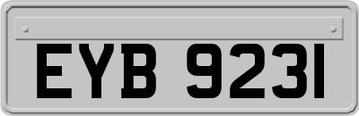 EYB9231