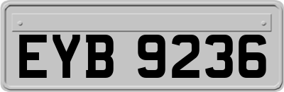 EYB9236