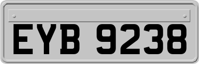 EYB9238