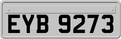 EYB9273