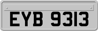 EYB9313