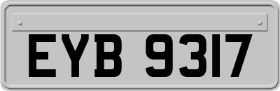 EYB9317