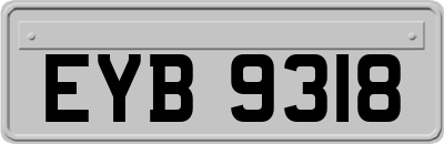 EYB9318
