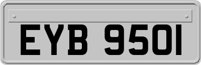 EYB9501