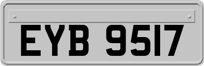 EYB9517