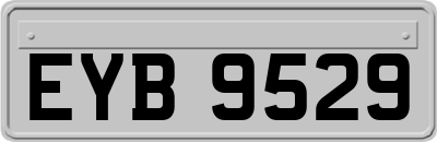 EYB9529