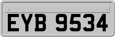 EYB9534