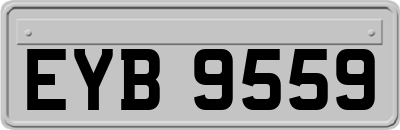 EYB9559