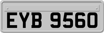 EYB9560