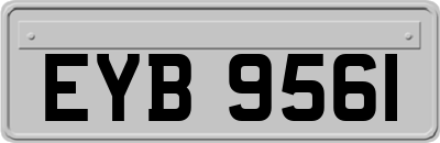 EYB9561