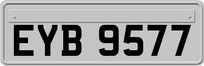 EYB9577