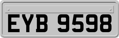 EYB9598