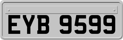 EYB9599