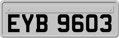 EYB9603