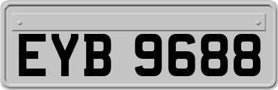 EYB9688