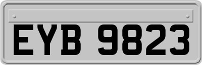 EYB9823