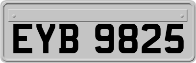 EYB9825