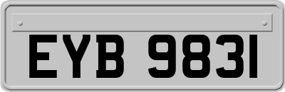 EYB9831