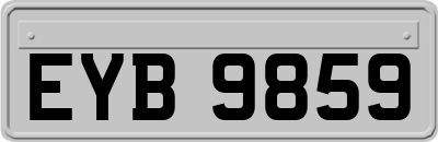 EYB9859