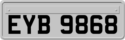 EYB9868