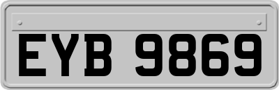 EYB9869