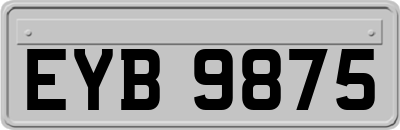 EYB9875