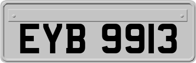 EYB9913