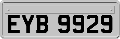 EYB9929