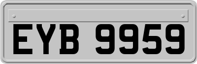 EYB9959