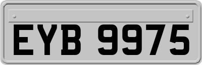 EYB9975