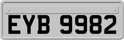 EYB9982