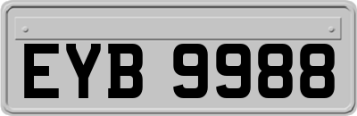 EYB9988