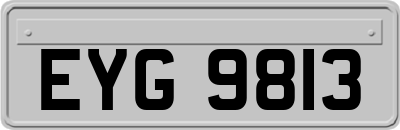 EYG9813