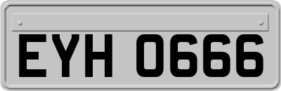 EYH0666