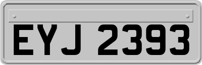 EYJ2393