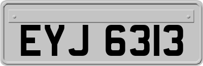 EYJ6313