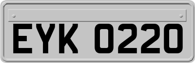 EYK0220