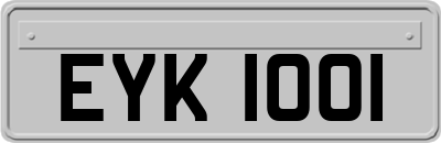 EYK1001