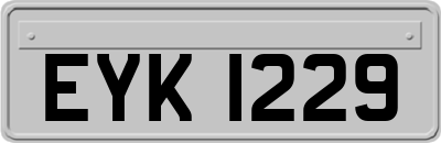 EYK1229