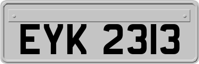 EYK2313