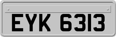 EYK6313