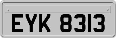 EYK8313