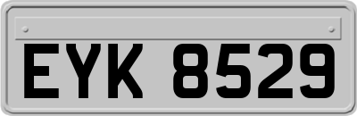 EYK8529