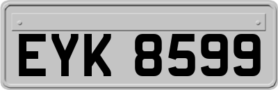 EYK8599