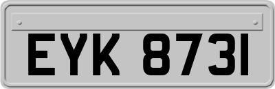 EYK8731