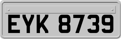 EYK8739